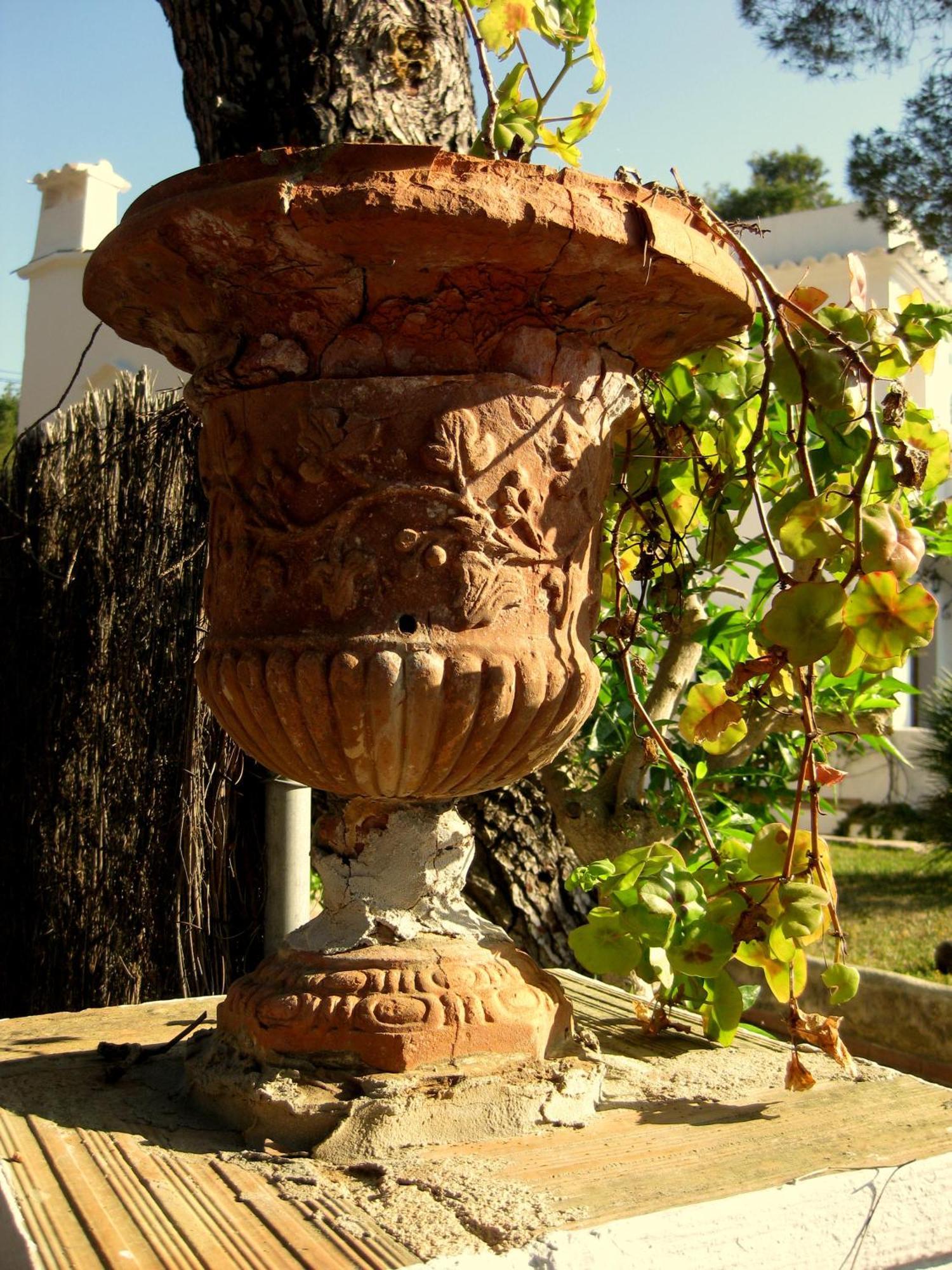 Maison d'hôtes Casa Ceiba Maria Cala D´Or