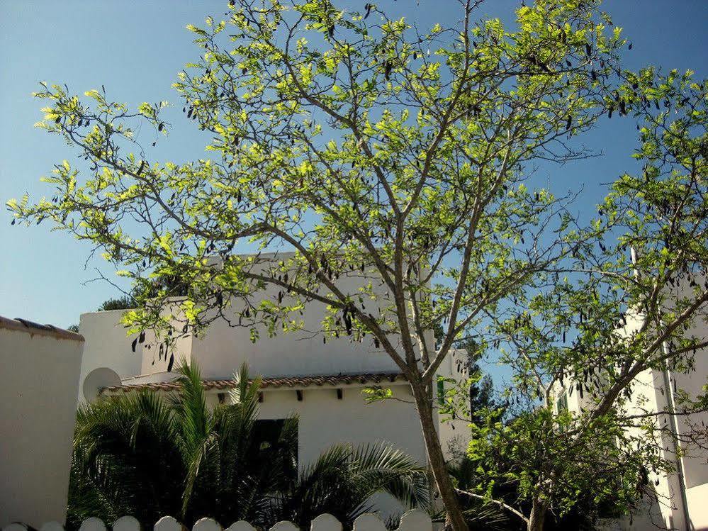 Maison d'hôtes Casa Ceiba Maria 2*